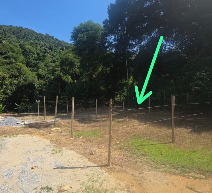 Lote no Bom Retiro