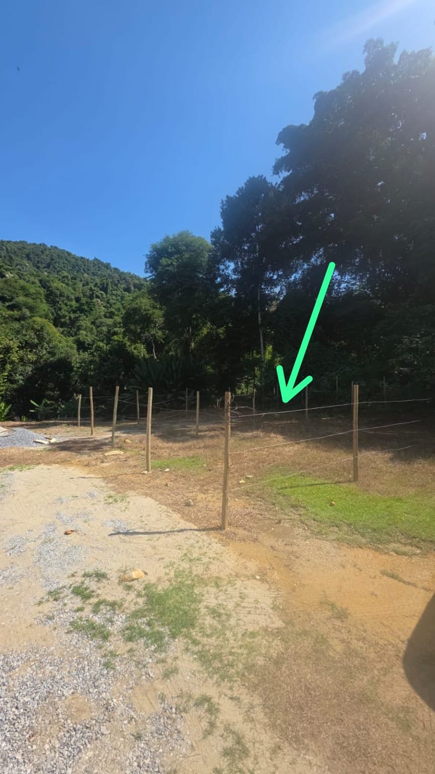 Lote no Bom Retiro